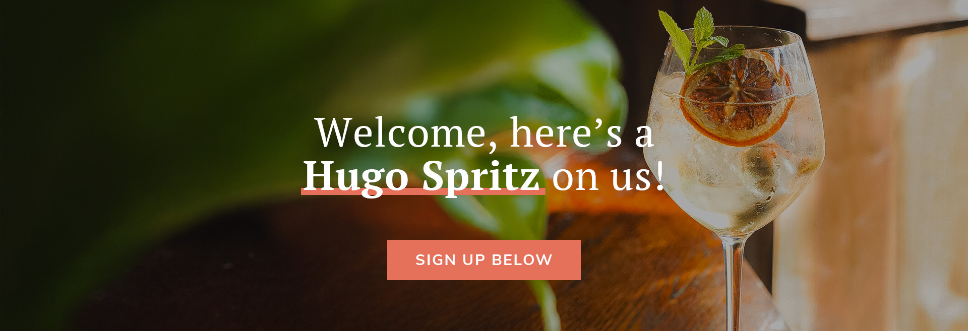 Sign up to the newsletter at The Edinboro Castle